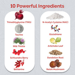 UpWellness Ultra Liver ingredientes naturales juntos resaltando sinergia