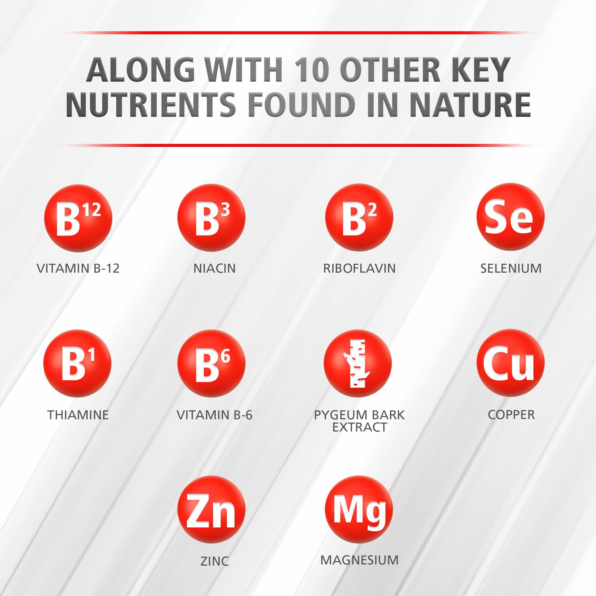 Urinozinc etiqueta de ingredientes que resalta zinc y extractos vegetales