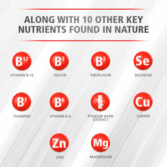 Urinozinc etiqueta de ingredientes que resalta zinc y extractos vegetales