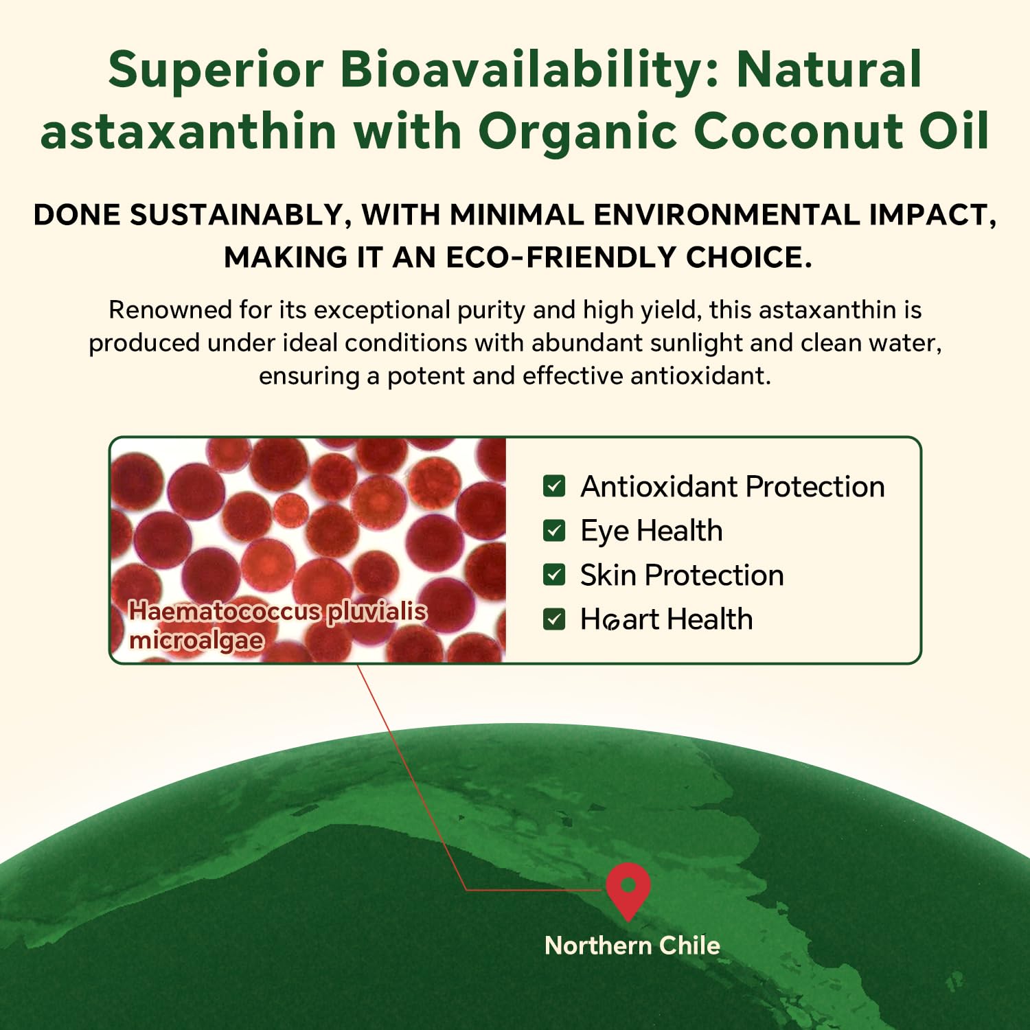 VEETAGYO bote abierto con gomitas listas para consumo conveniente