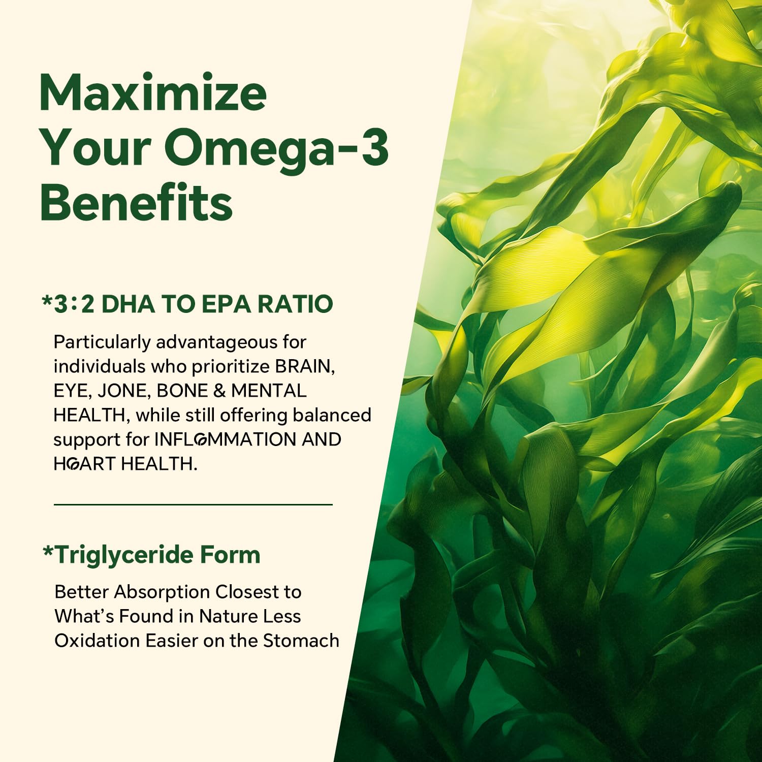 VEETAGYO microalgas fuente de Omega 3 mostrando origen vegetal