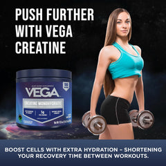 Vega detalle del polvo micronizado enfoque en finura para rápida absorción
