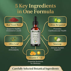 Rtettoa Velora collage de bergamota, hoja de oliva y guanábana como ingredientes