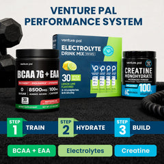 Venture Pal caja de 30 sticks en mesa, suministro para varias sesiones