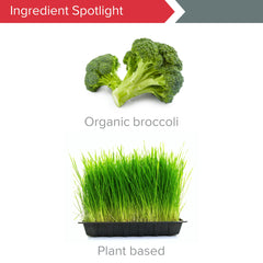 Vibrant Health persona activa integrando el suplemento en su rutina