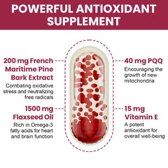 Vigorizar Pycnogeno con PQQ 40 mg; antioxidantes potentes para el día