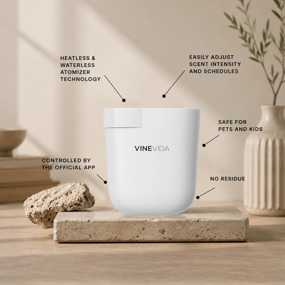 VINEVIDA difusor en salón creando ambiente acogedor