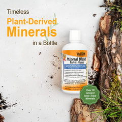 Vital Earth Minerals mezcla en un vaso de agua para hidratación rápida