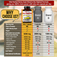 VITAL HERBAL cápsula en mano demostrando tamaño práctico y dosificación diaria