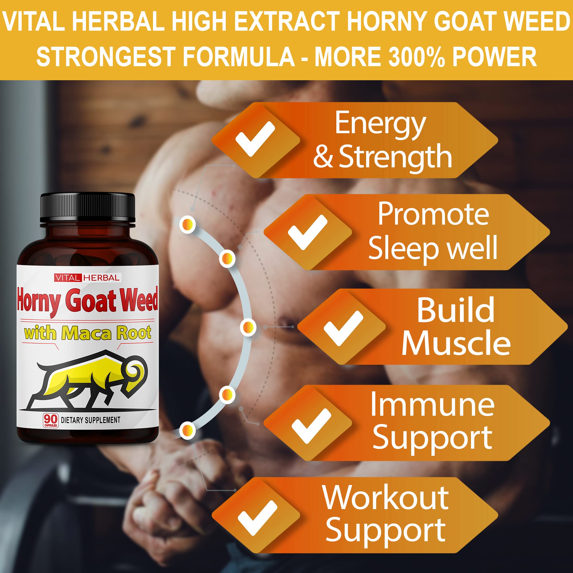 VITAL HERBAL cápsula junto a monedas para comparar tamaño y conveniencia
