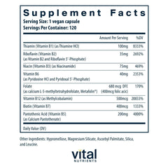 Vital Nutrients primer plano de cápsula vegana mostrando textura y pureza