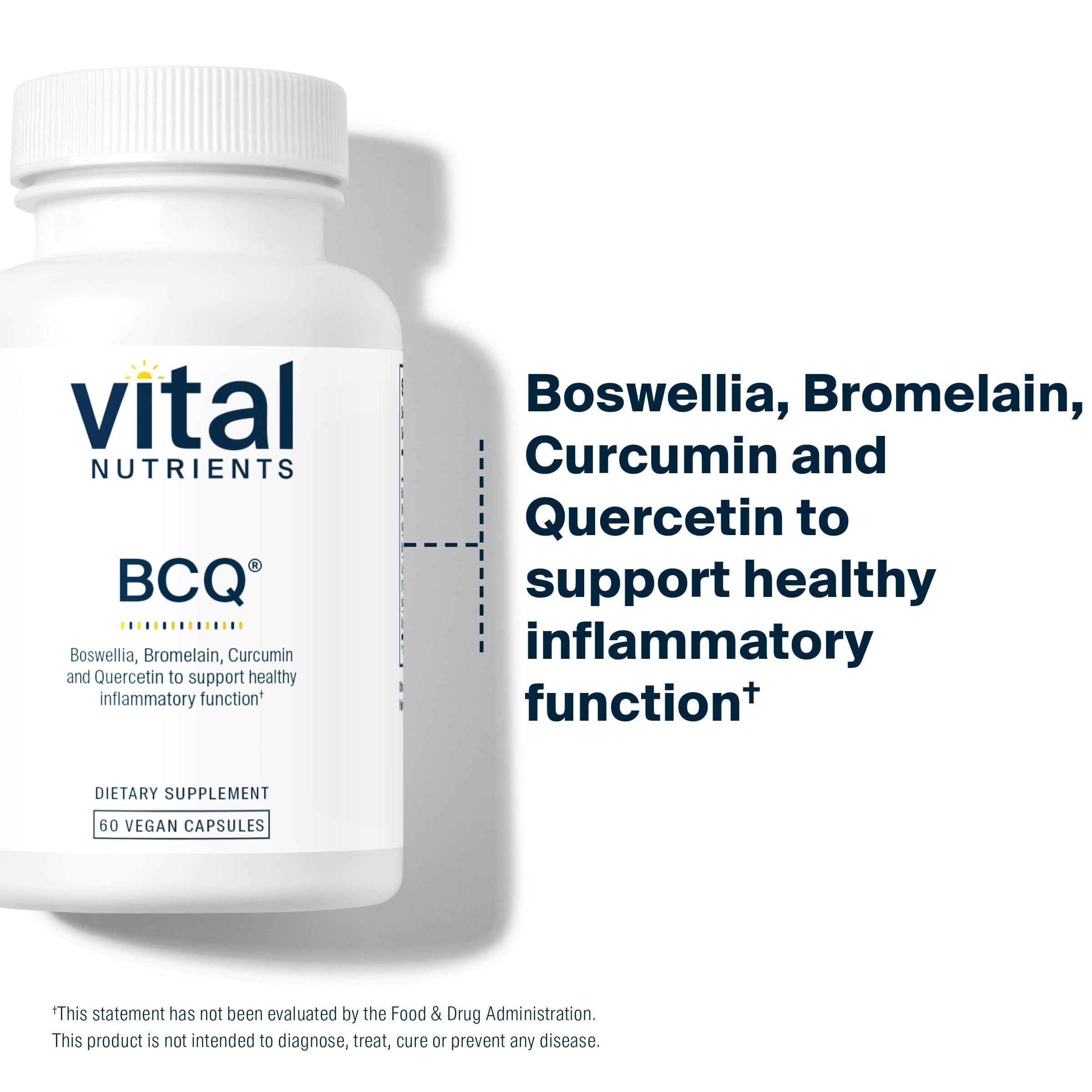 Vital Nutrients BCQ cápsula en mano para mostrar tamaño y dosificación