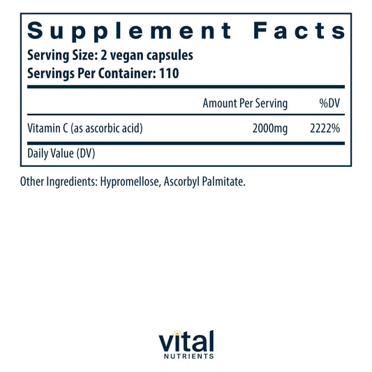 Vital Nutrients primer plano de una cápsula destacando textura vegana