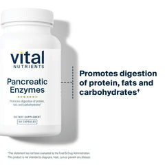 Vital Nutrients cápsula en mano para comparar escala y facilidad