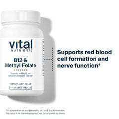 Vital Nutrients cápsula en mano para comparar tamaño y dosificación