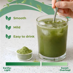VITAL NUTRITIVE batido preparado en vaso, bebida nutritiva y refrescante
