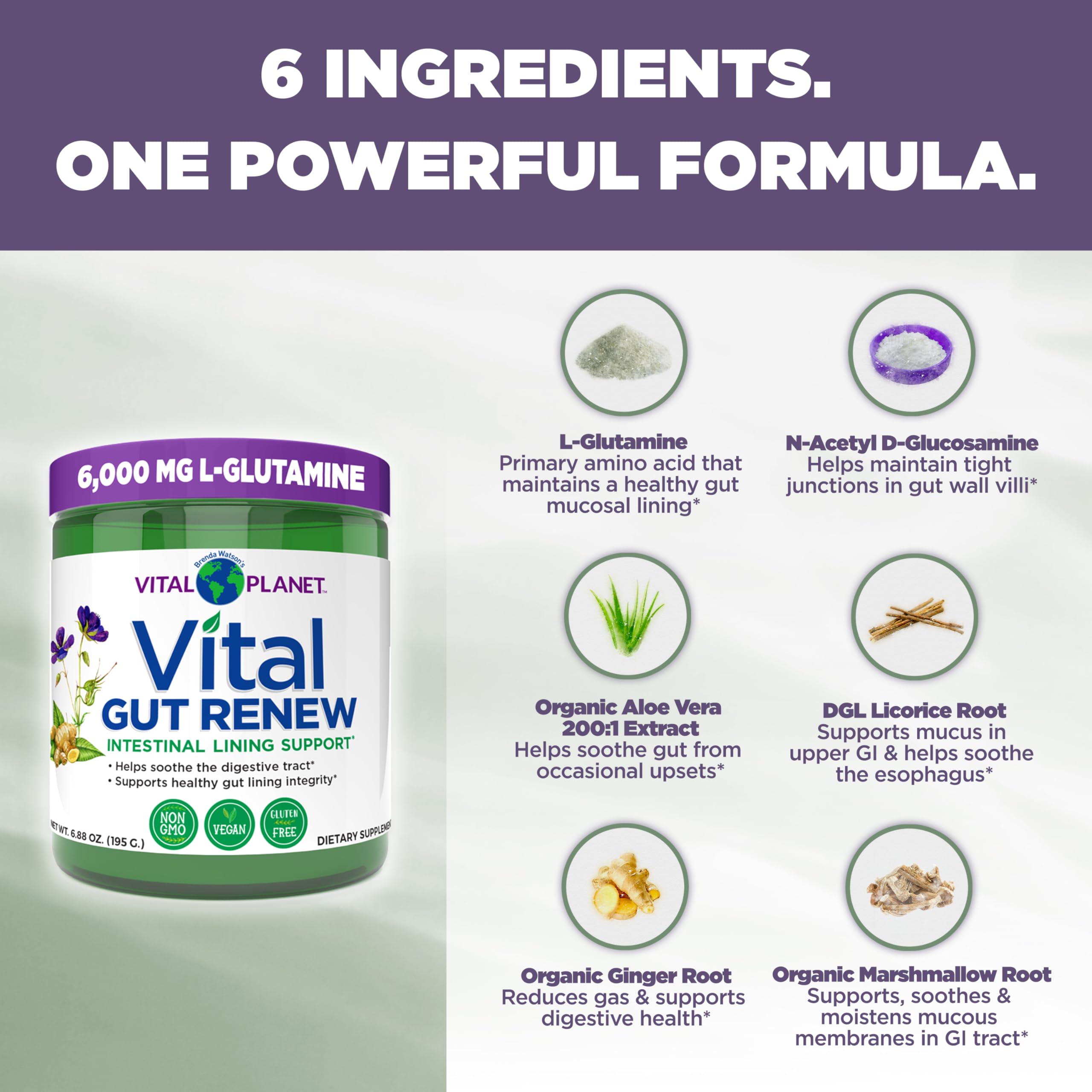 Vital Planet polvo disuelto en vaso como suplemento matutino práctico