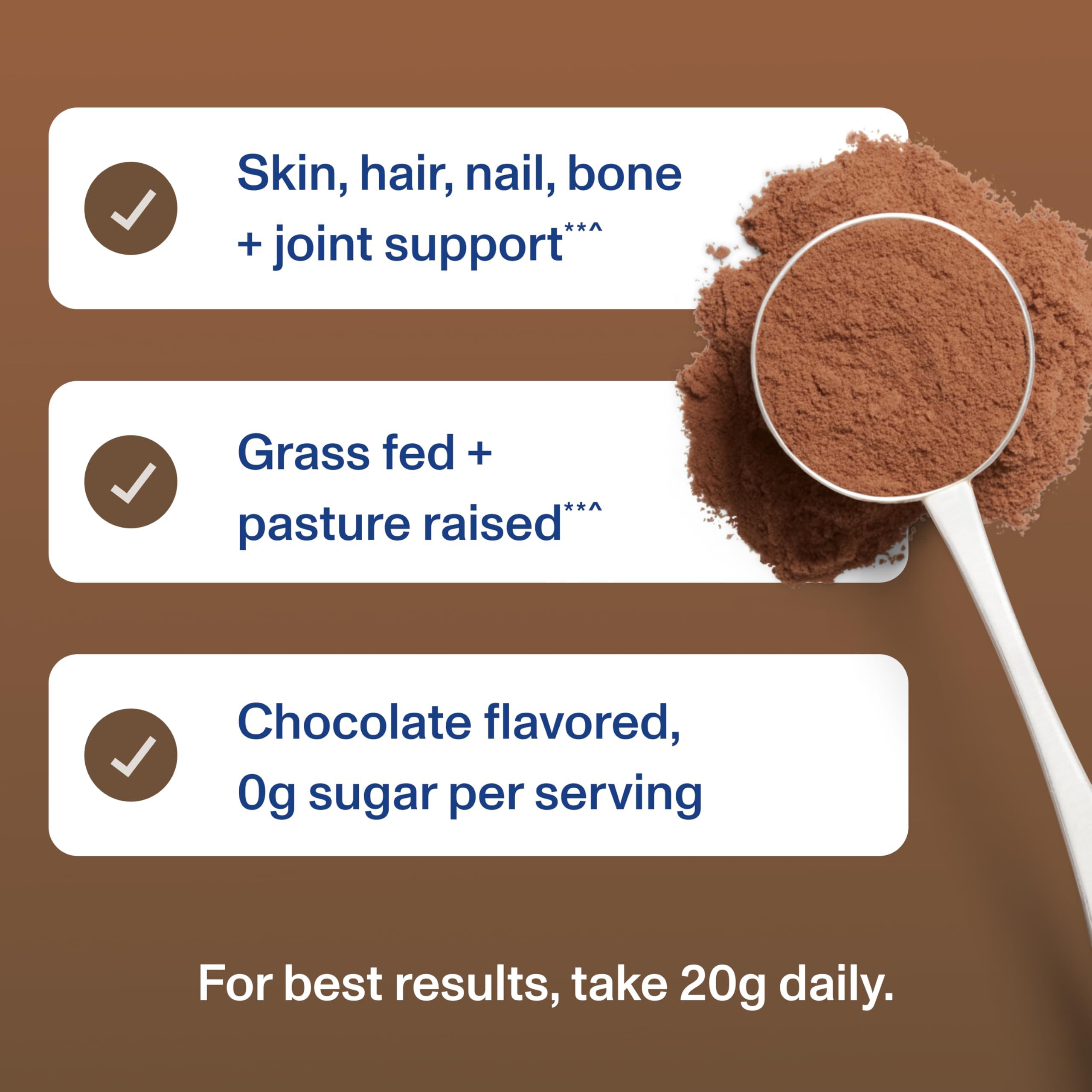 Vital Proteins polvo mezclado con avena, opción para desayuno nutritivo
