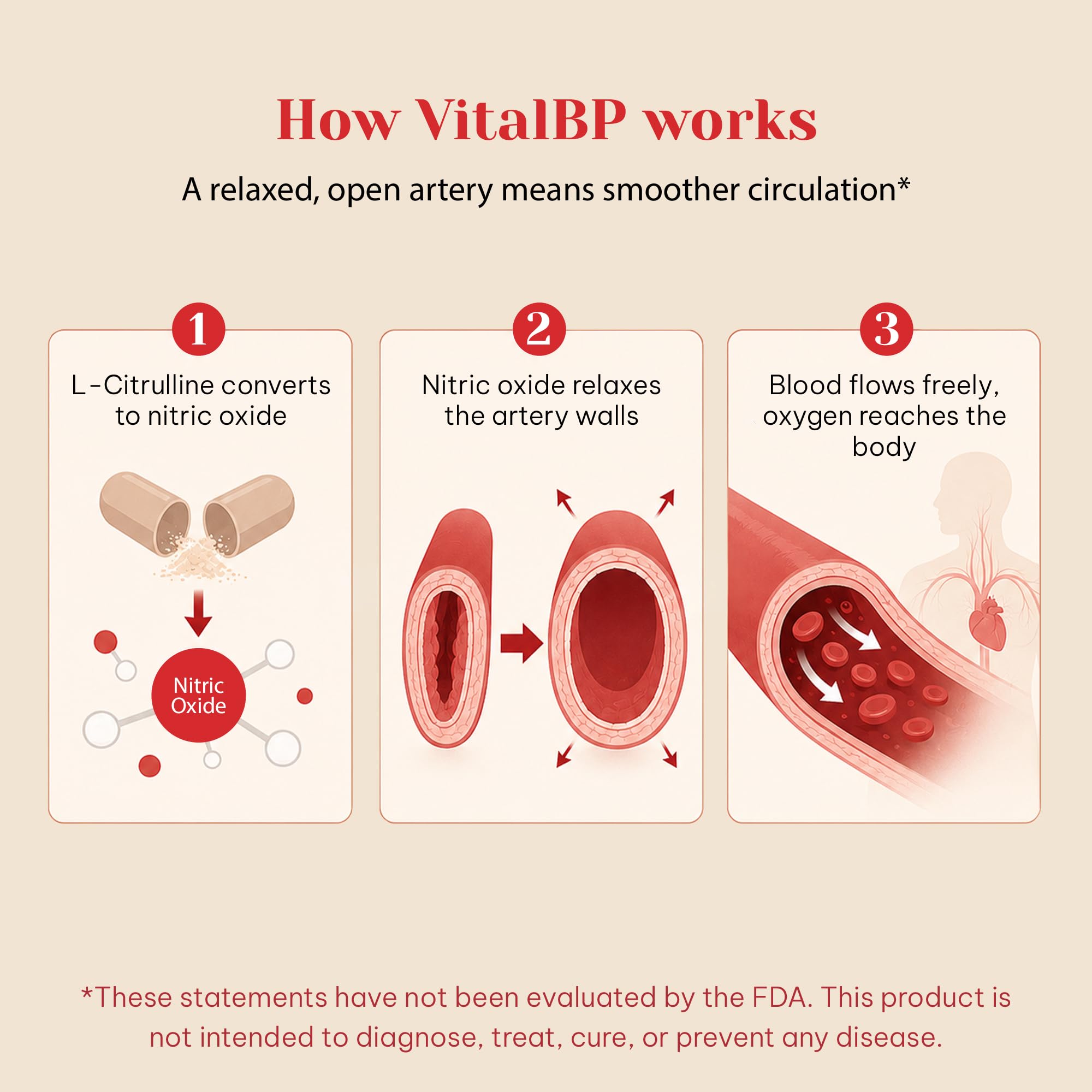 VitalBP composición sobre mesa resaltando ingredientes clave