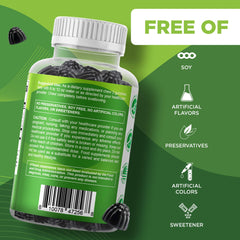 Vitamatic ingredientes naturales moringa y frutas mostrando origen vegetal