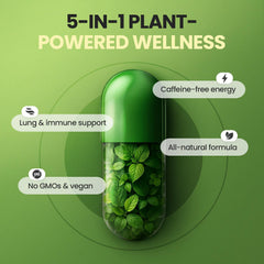 Vitamax ingredientes crudos (moringa, remolacha, mullén) dispuestos ordenados
