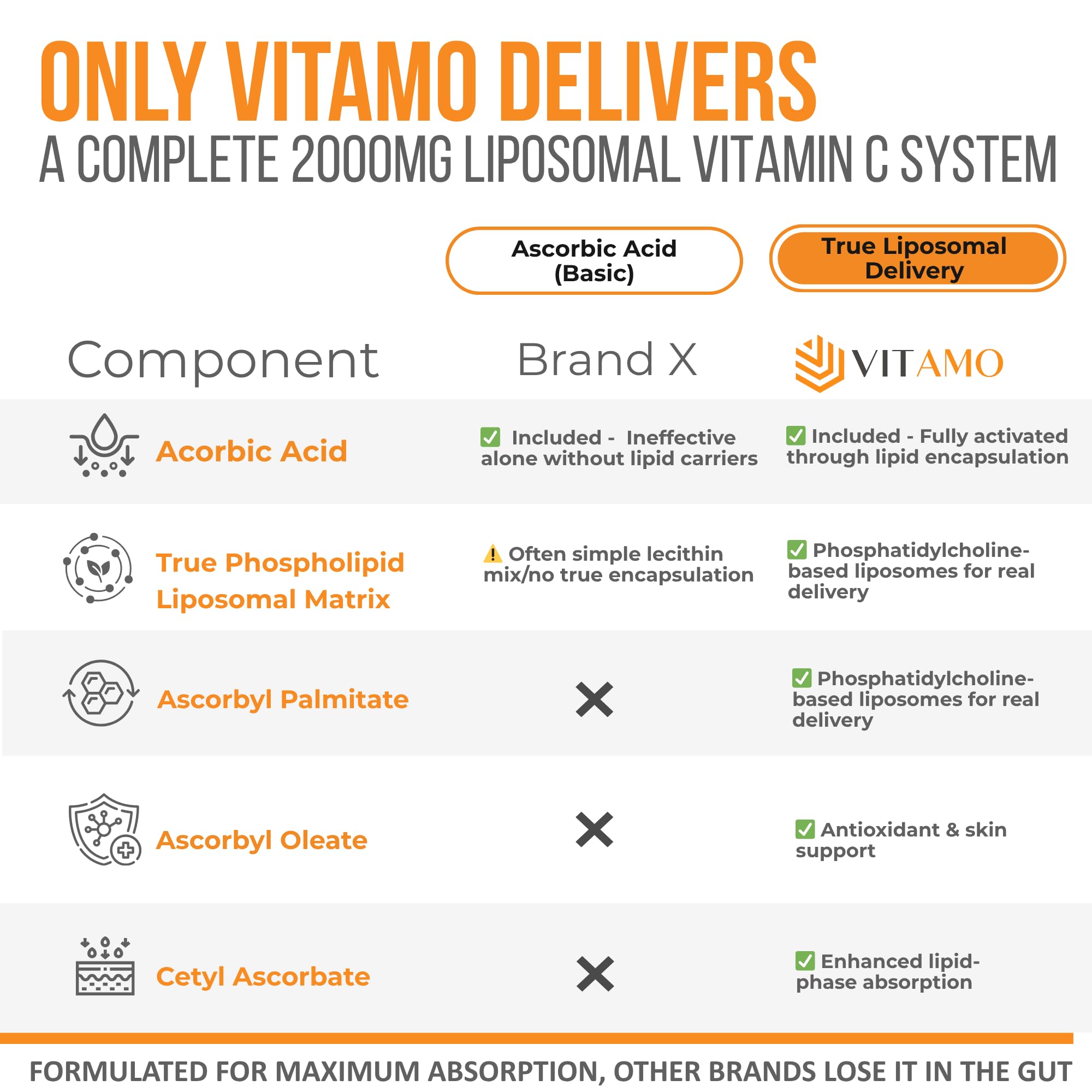 Vitamo cápsulas dentro del frasco listas para dosificar y maximizar absorción