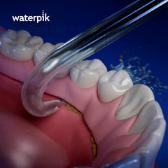 Waterpik dos puntas codificadas por color junto a una moneda para escala y organización