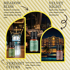 WECONA aceite usado en difusor en salón para ambiente acogedor