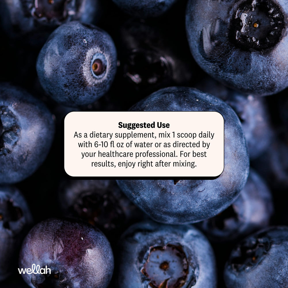 Wellah creatine ingredientes diente de león y arándano para apoyo natural