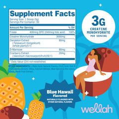 Textura del polvo Wellah Creatine Blue Hawaii en primer plano, mezcla fácil y sin grumos