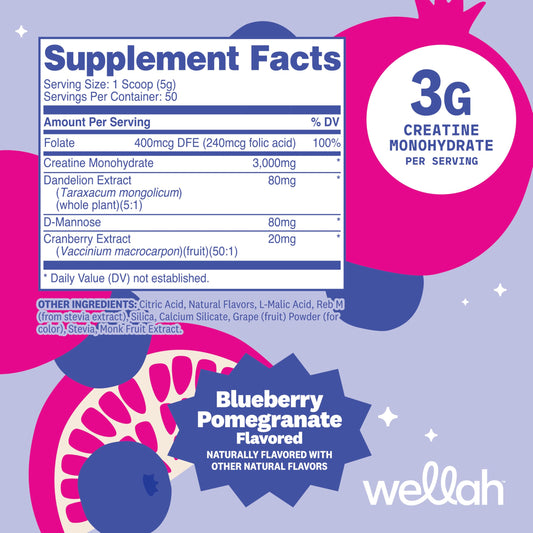 Wellah creatine textura del polvo fácil de mezclar y atractivo sabor