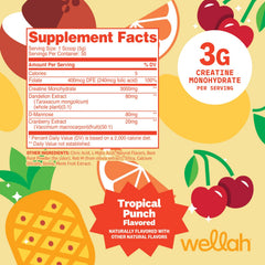 Wellah creatine primer plano del polvo Tropical Punch, textura fina y mezclable