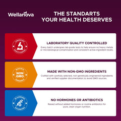 Wellanova cápsula junto a moneda para comparar tamaño y facilidad de ingestión
