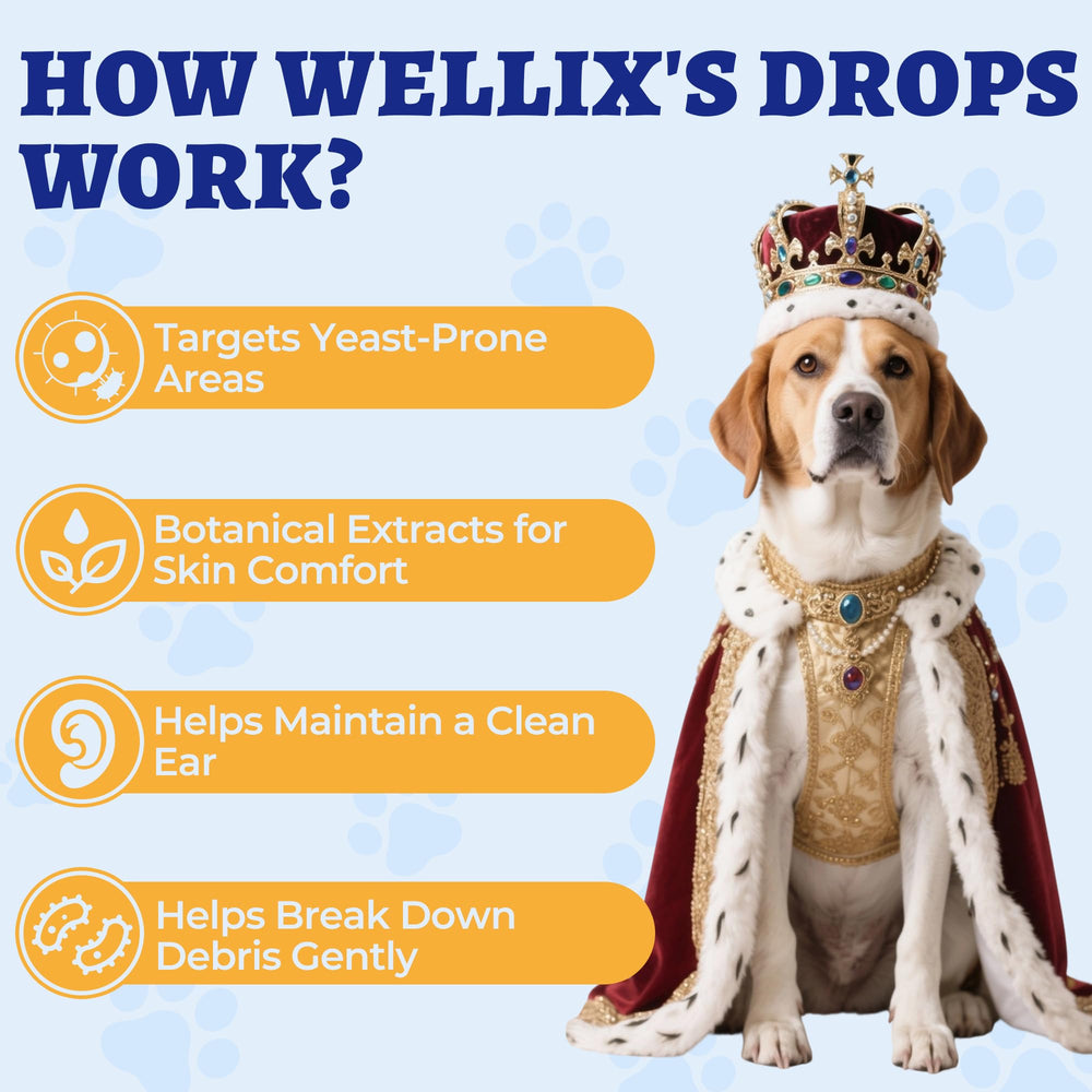Wellix administrado con jeringa facilitando dosis precisas y controladas