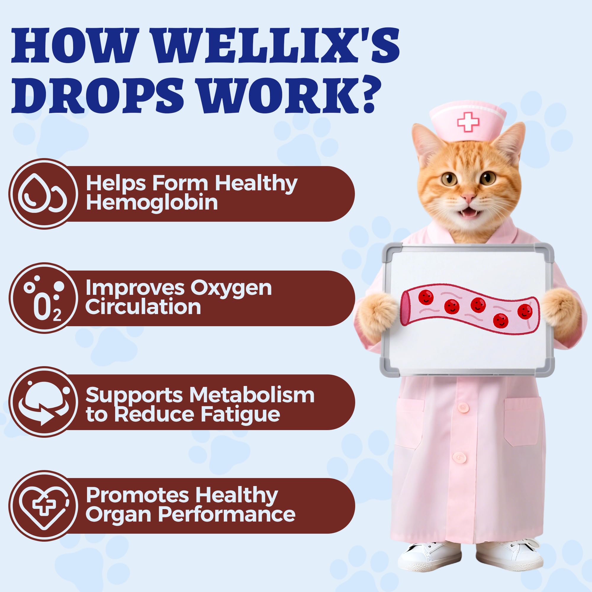 Wellix mezclado en comida de gato, mejora la aceptación por su sabor a pollo