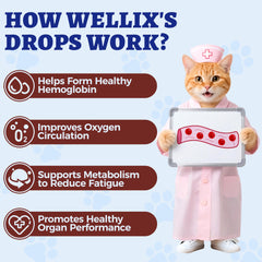 Wellix mezclado en comida de gato, mejora la aceptación por su sabor a pollo