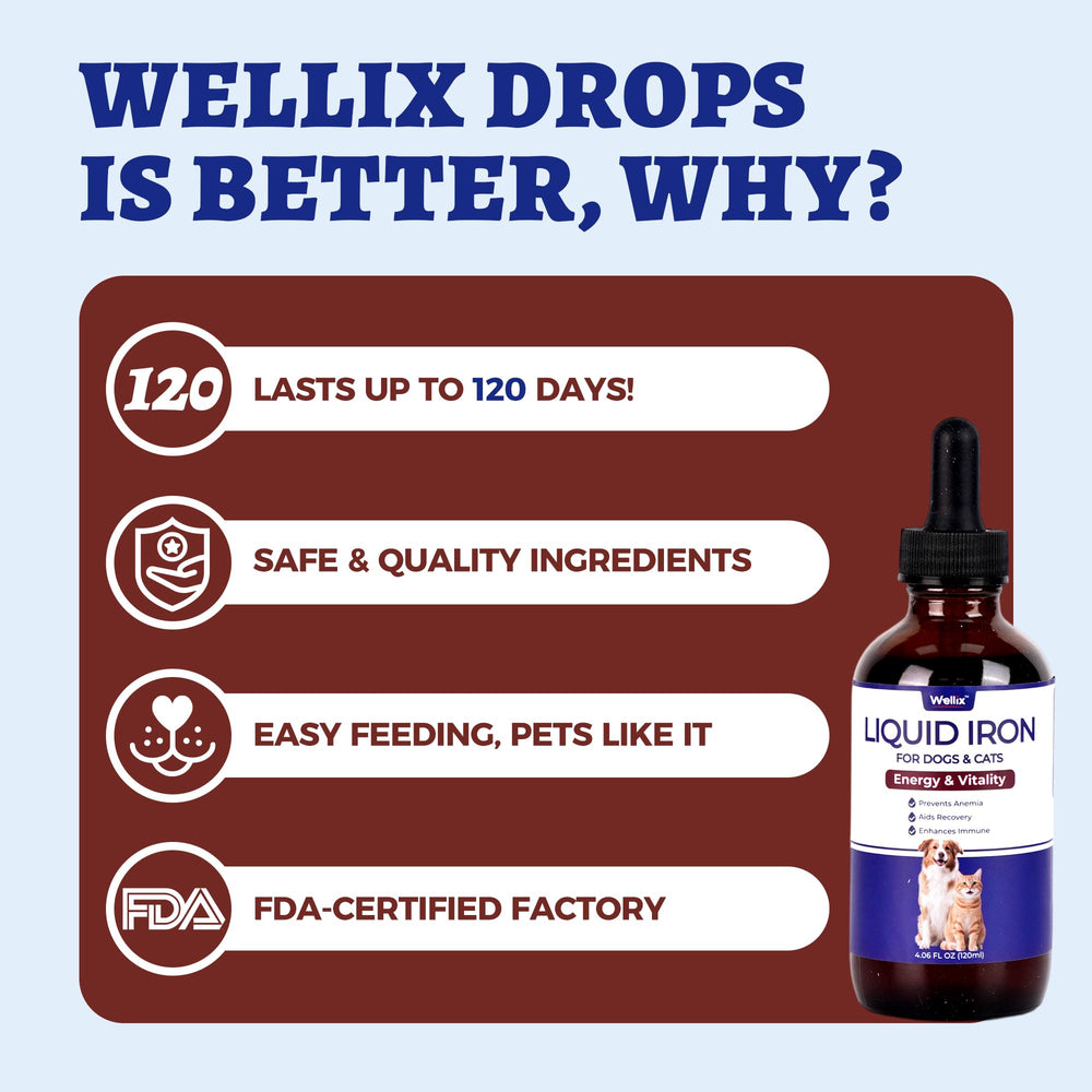 Wellix administrado a perro pequeño, apoyo nutricional para energía y vitalidad