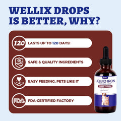 Wellix administrado a perro pequeño, apoyo nutricional para energía y vitalidad