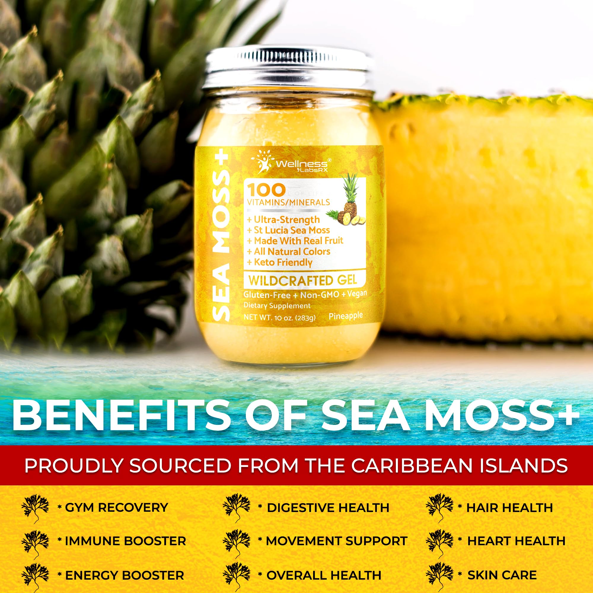 WELLNESS LABSRX envase junto a mano para escala, tamaño de 10 oz claro