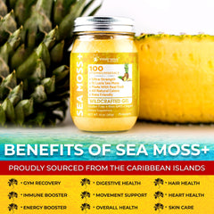 WELLNESS LABSRX envase junto a mano para escala, tamaño de 10 oz claro