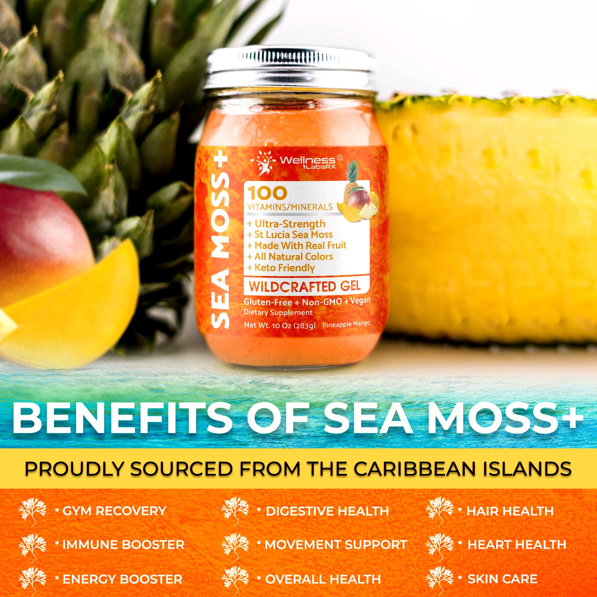 WELLNESS LABSRX frasco de 10 oz junto a una regla para mostrar el tamaño real