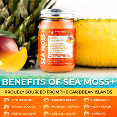WELLNESS LABSRX frasco de 10 oz junto a una regla para mostrar el tamaño real