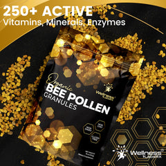 WELLNESS LABSRX polen servido sobre yogur para mejorar sabor y nutrientes