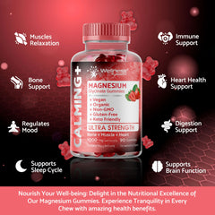WELLNESS LABSRX gomita en mano mostrando tamaño y porción