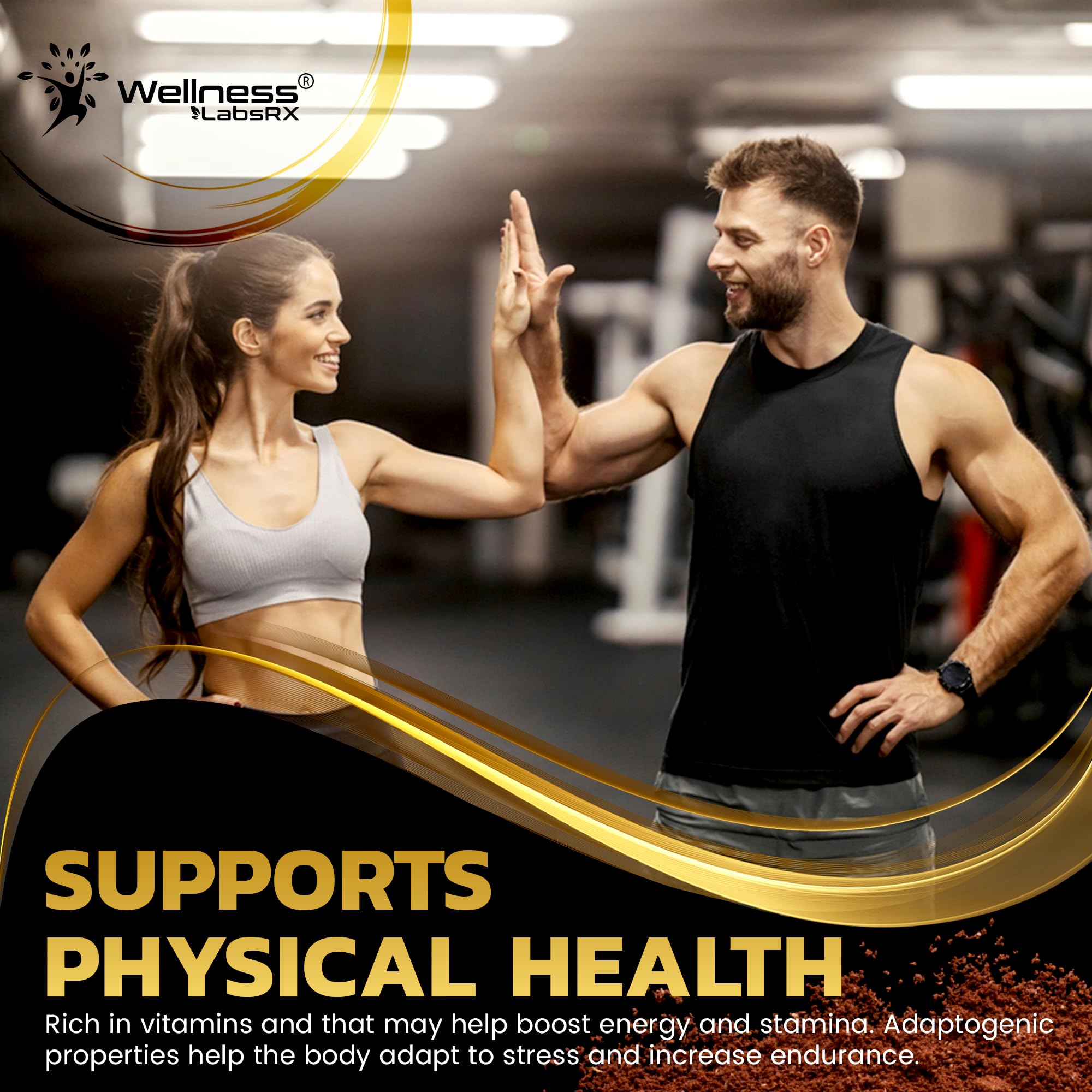 WELLNESS LABSRX variedad de hongos secos juntos, muestra la mezcla 25-en-1