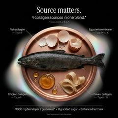 Wellneum ingredientes principales sobre fondo claro para mostrar composición