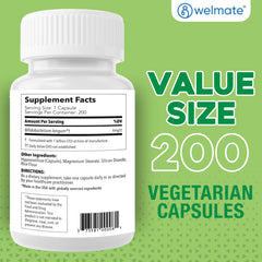 WELMATE cápsula junto a regla para apreciar tamaño real