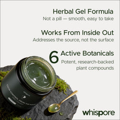 Ingredientes herbales de Whispore sobre mesa, naturalidad visible