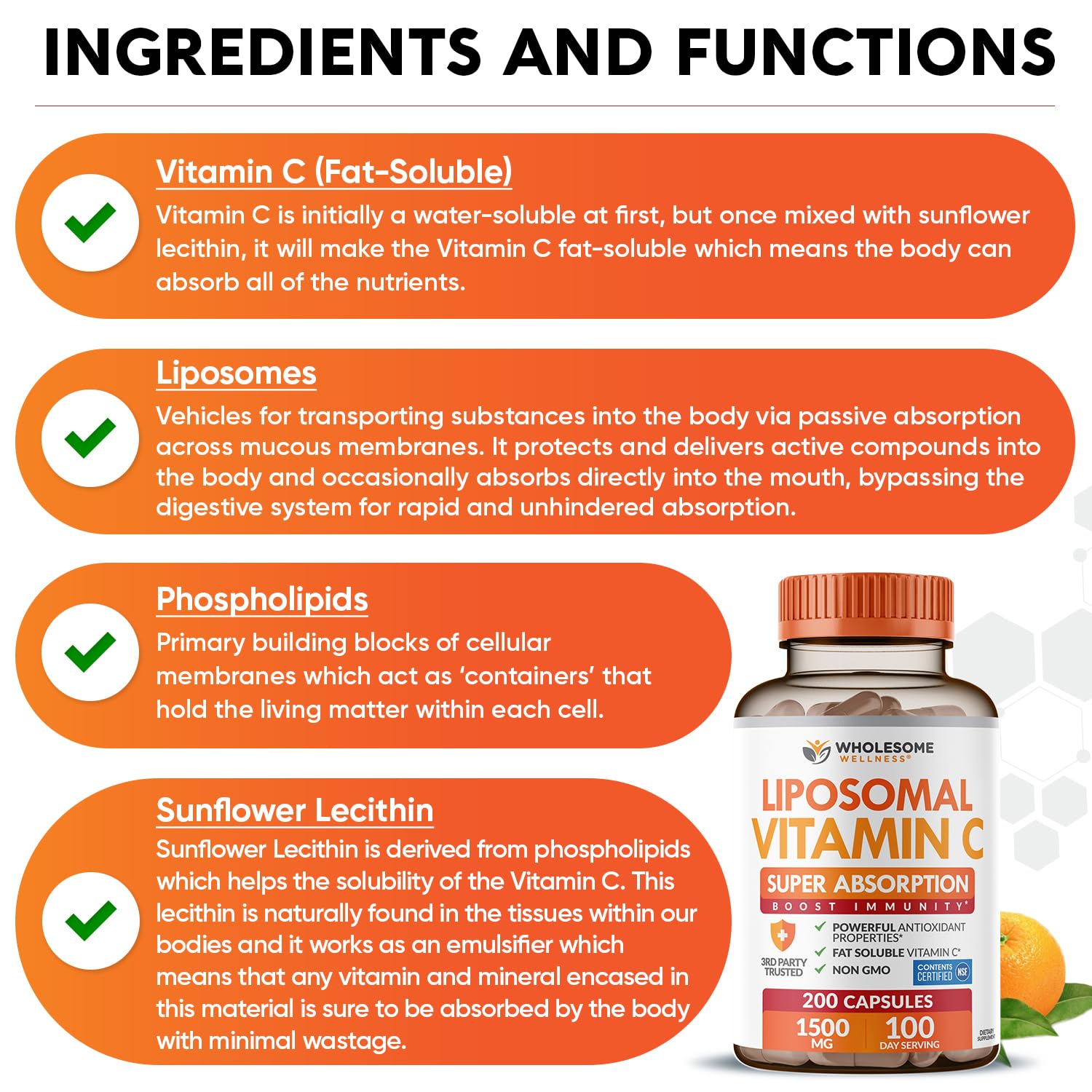 Wholesome Wellness cápsula en mano demostrando tamaño práctico