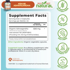 Why Not Natural cápsulas en mano para visualizar tamaño y dosificación
